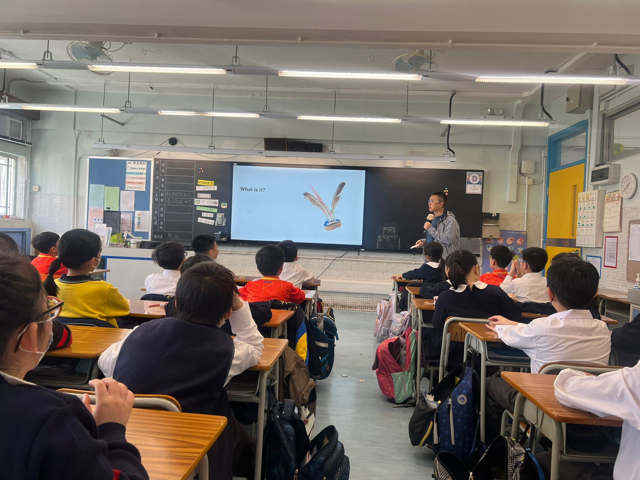 P.4 School-based curriculum 2